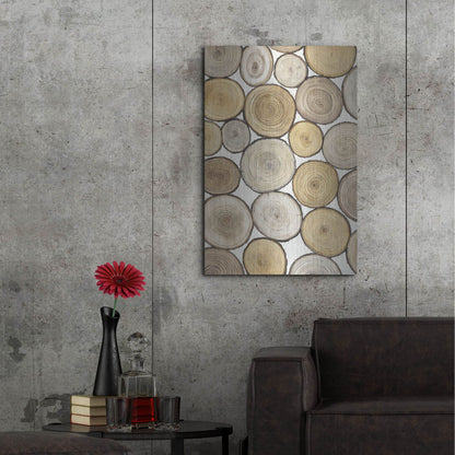 Luxe Metal Art 'Tree Ring Study I' by Tim O'Toole, Metal Wall Art,24x36