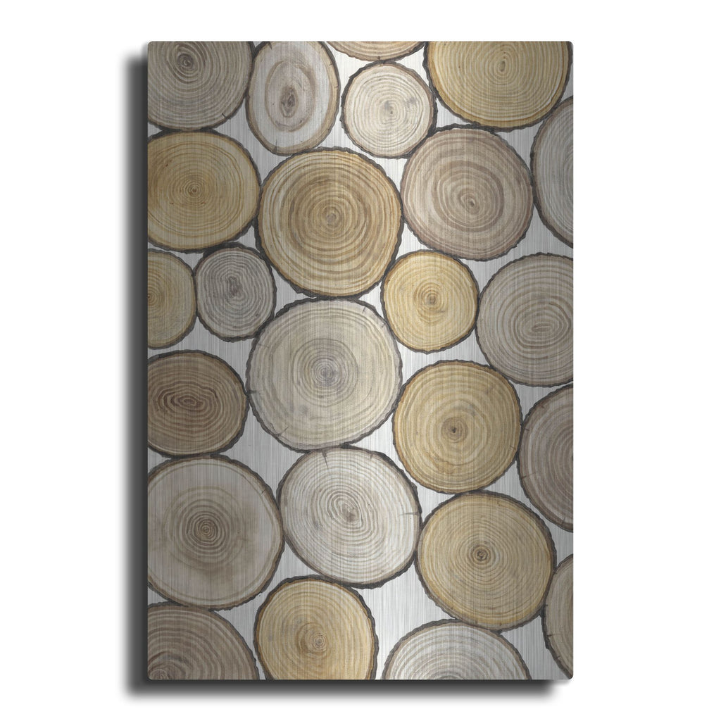 Luxe Metal Art 'Tree Ring Study I' by Tim O'Toole, Metal Wall Art