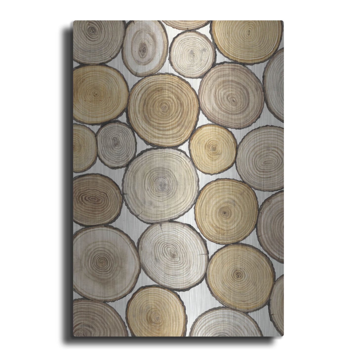 Luxe Metal Art 'Tree Ring Study I' by Tim O'Toole, Metal Wall Art