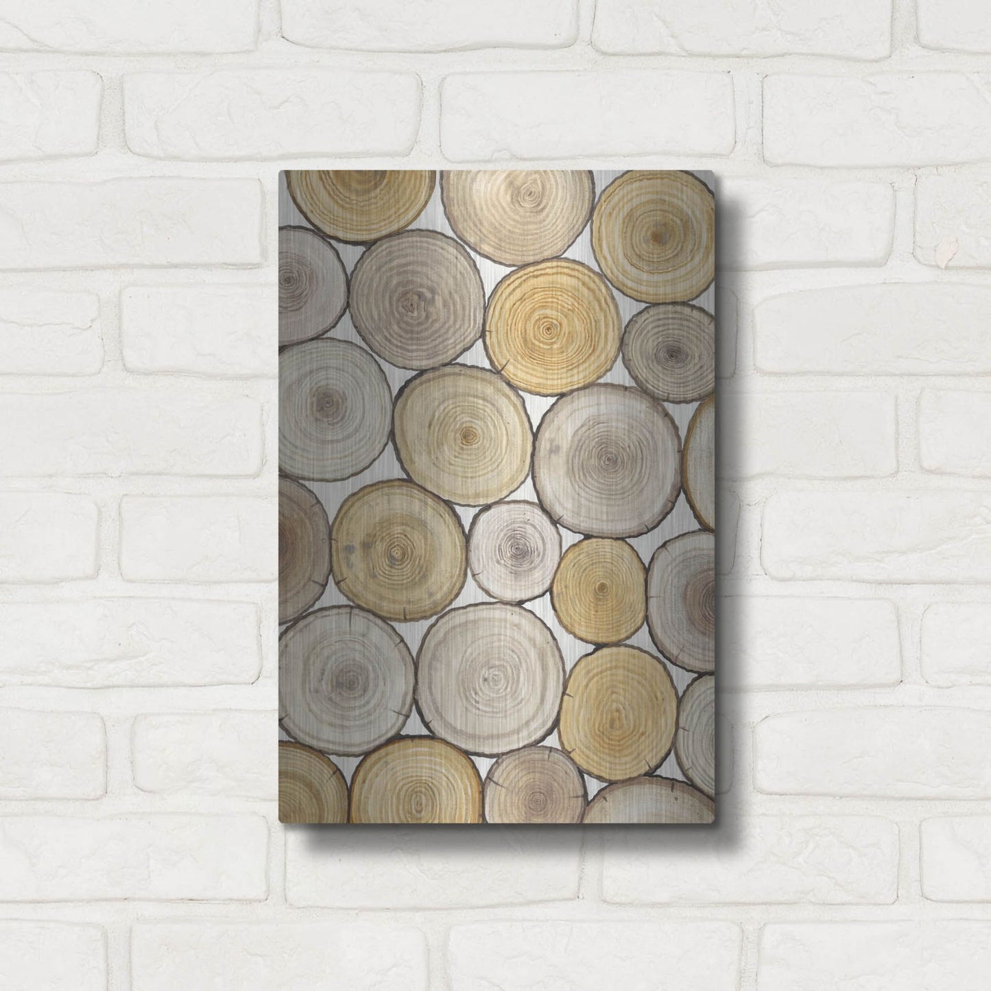 Luxe Metal Art 'Tree Ring Study II' by Tim O'Toole, Metal Wall Art,12x16
