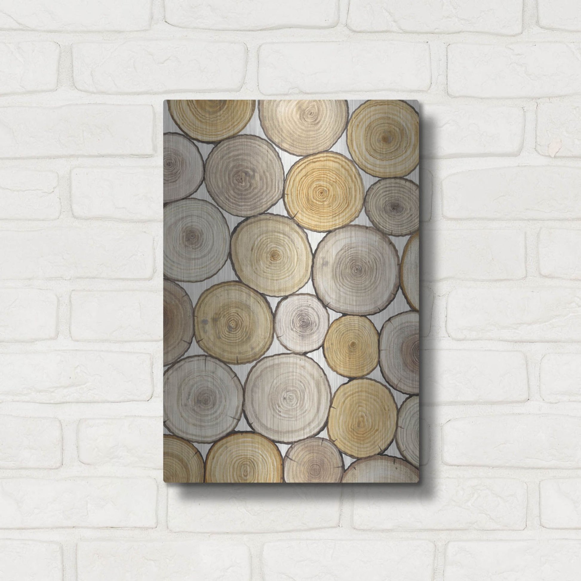 Luxe Metal Art 'Tree Ring Study II' by Tim O'Toole, Metal Wall Art,12x16