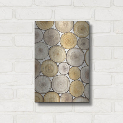 Luxe Metal Art 'Tree Ring Study II' by Tim O'Toole, Metal Wall Art,12x16