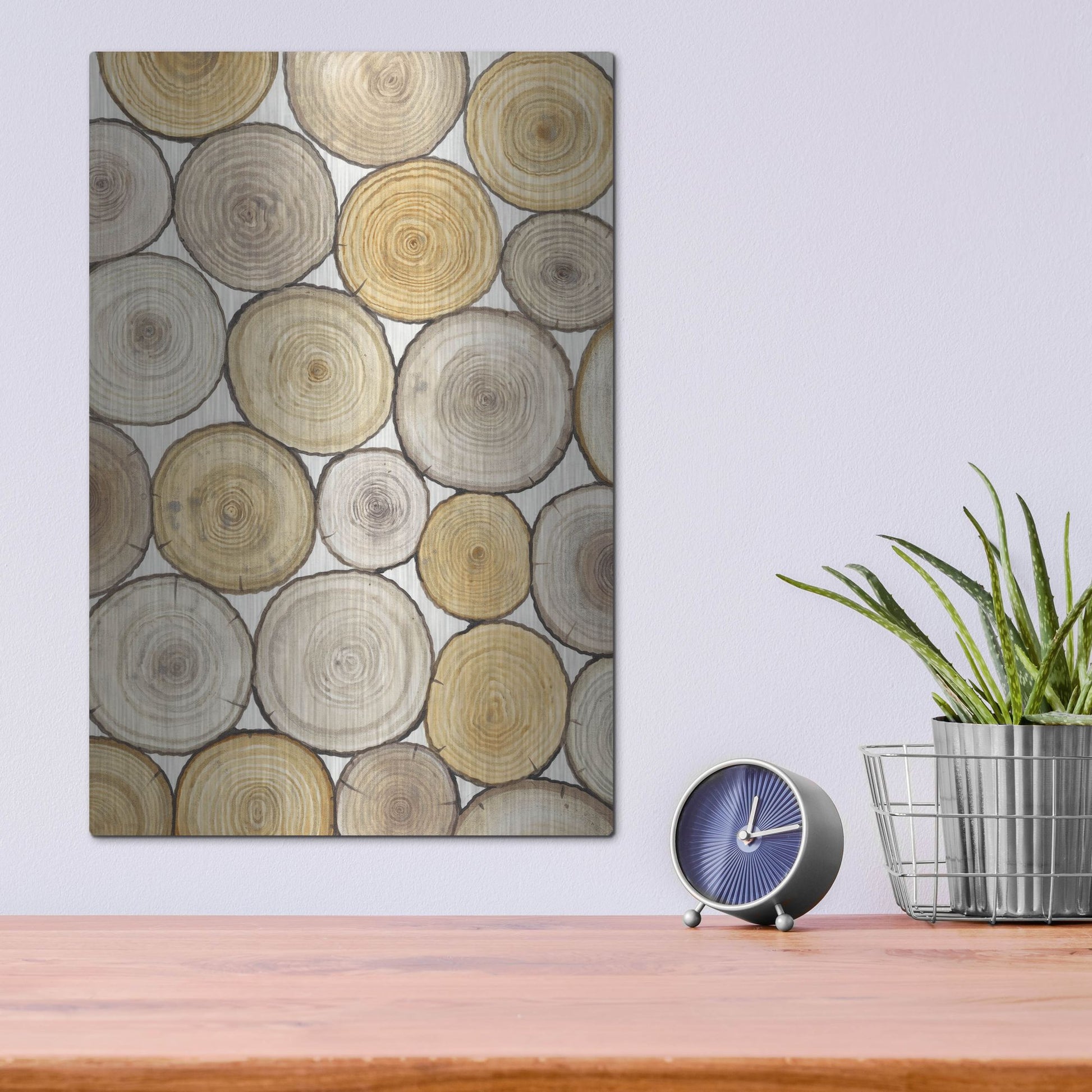 Luxe Metal Art 'Tree Ring Study II' by Tim O'Toole, Metal Wall Art,12x16