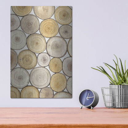 Luxe Metal Art 'Tree Ring Study II' by Tim O'Toole, Metal Wall Art,12x16