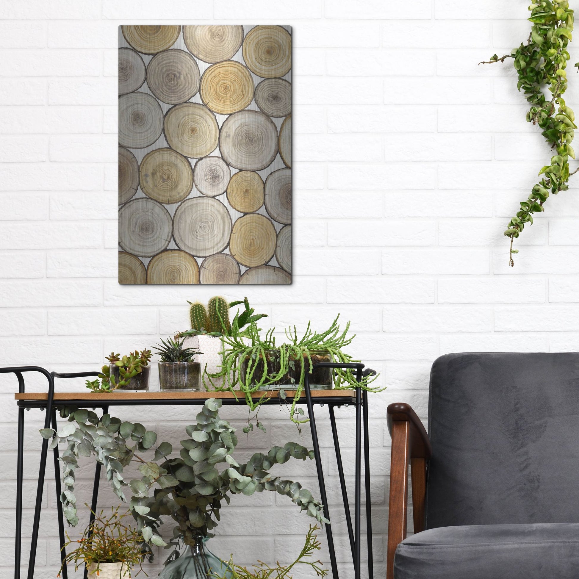 Luxe Metal Art 'Tree Ring Study II' by Tim O'Toole, Metal Wall Art,12x16