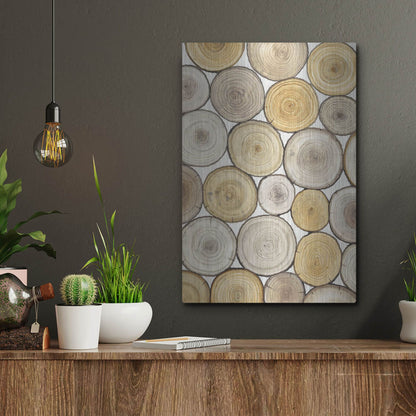 Luxe Metal Art 'Tree Ring Study II' by Tim O'Toole, Metal Wall Art,12x16