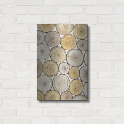 Luxe Metal Art 'Tree Ring Study II' by Tim O'Toole, Metal Wall Art,16x24