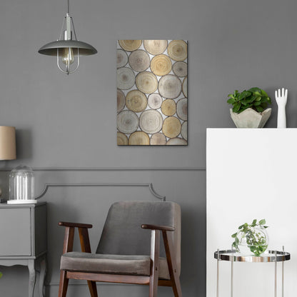 Luxe Metal Art 'Tree Ring Study II' by Tim O'Toole, Metal Wall Art,16x24