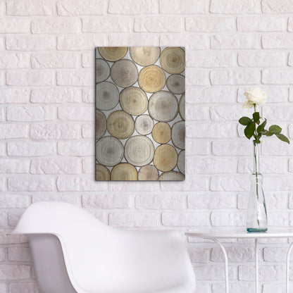 Luxe Metal Art 'Tree Ring Study II' by Tim O'Toole, Metal Wall Art,16x24
