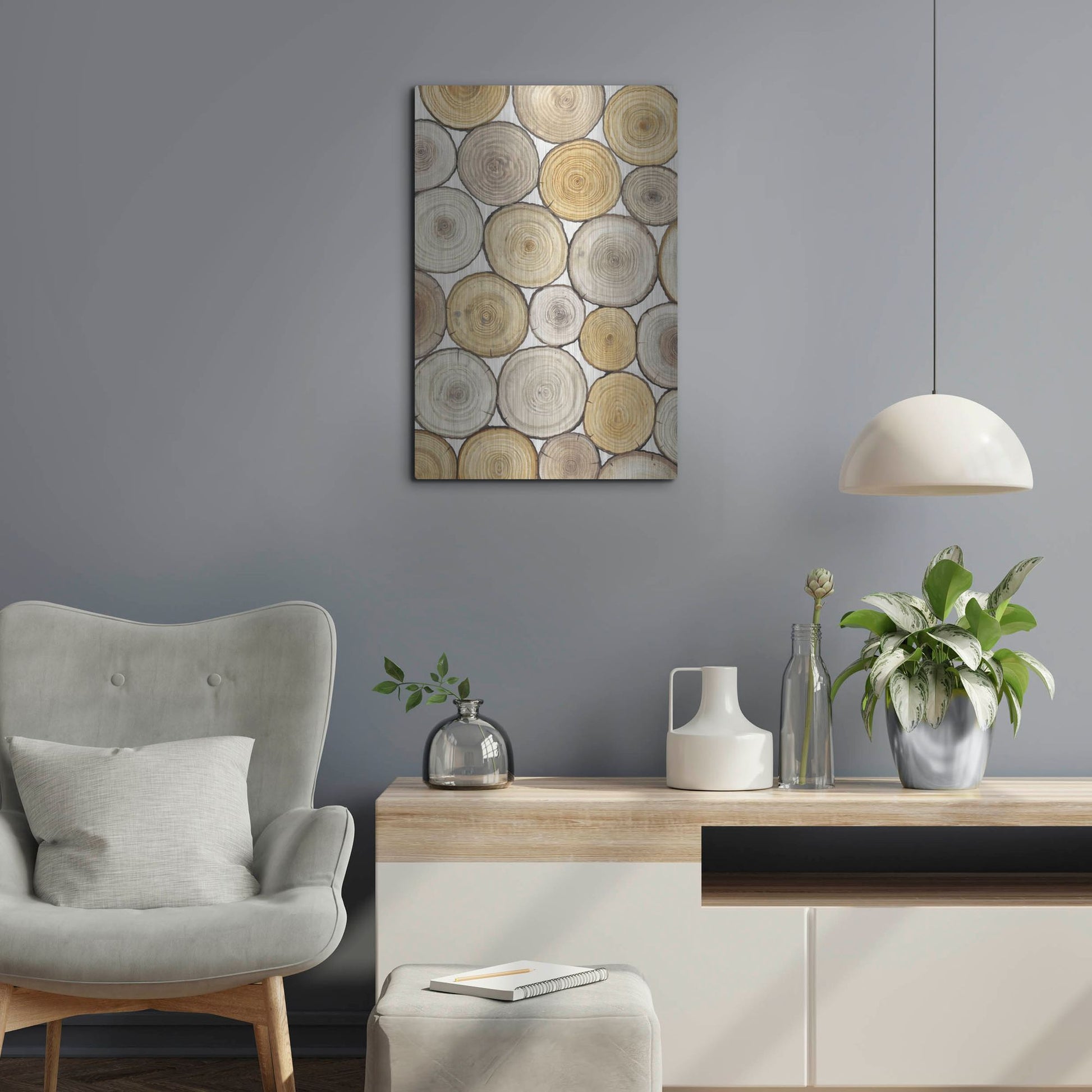 Luxe Metal Art 'Tree Ring Study II' by Tim O'Toole, Metal Wall Art,16x24