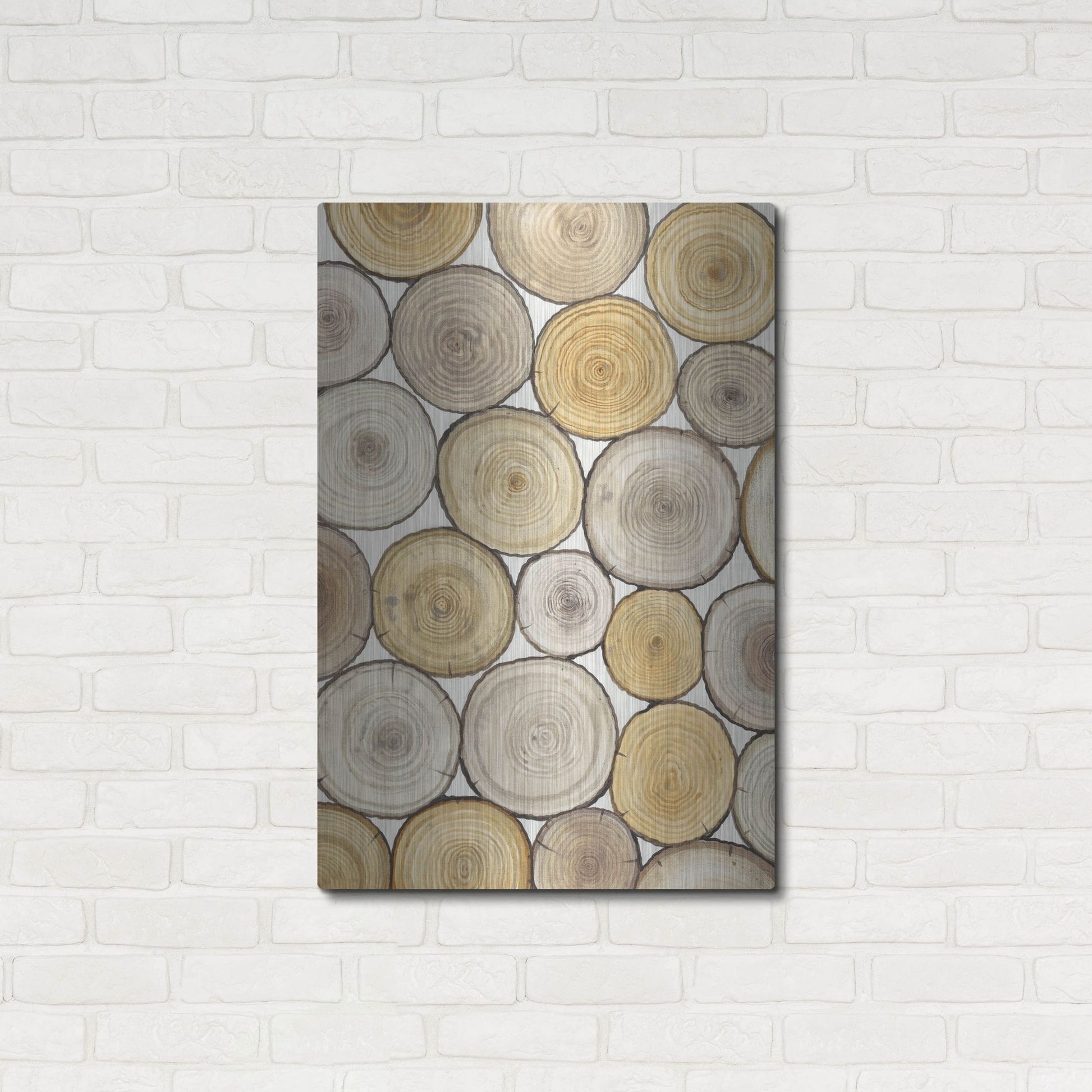 Luxe Metal Art 'Tree Ring Study II' by Tim O'Toole, Metal Wall Art,24x36