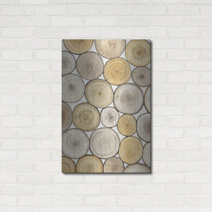Luxe Metal Art 'Tree Ring Study II' by Tim O'Toole, Metal Wall Art,24x36