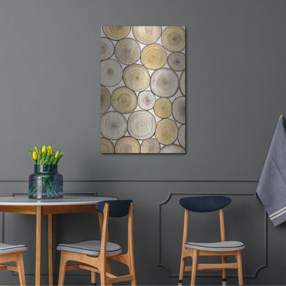 Luxe Metal Art 'Tree Ring Study II' by Tim O'Toole, Metal Wall Art,24x36