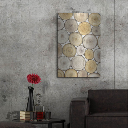 Luxe Metal Art 'Tree Ring Study II' by Tim O'Toole, Metal Wall Art,24x36
