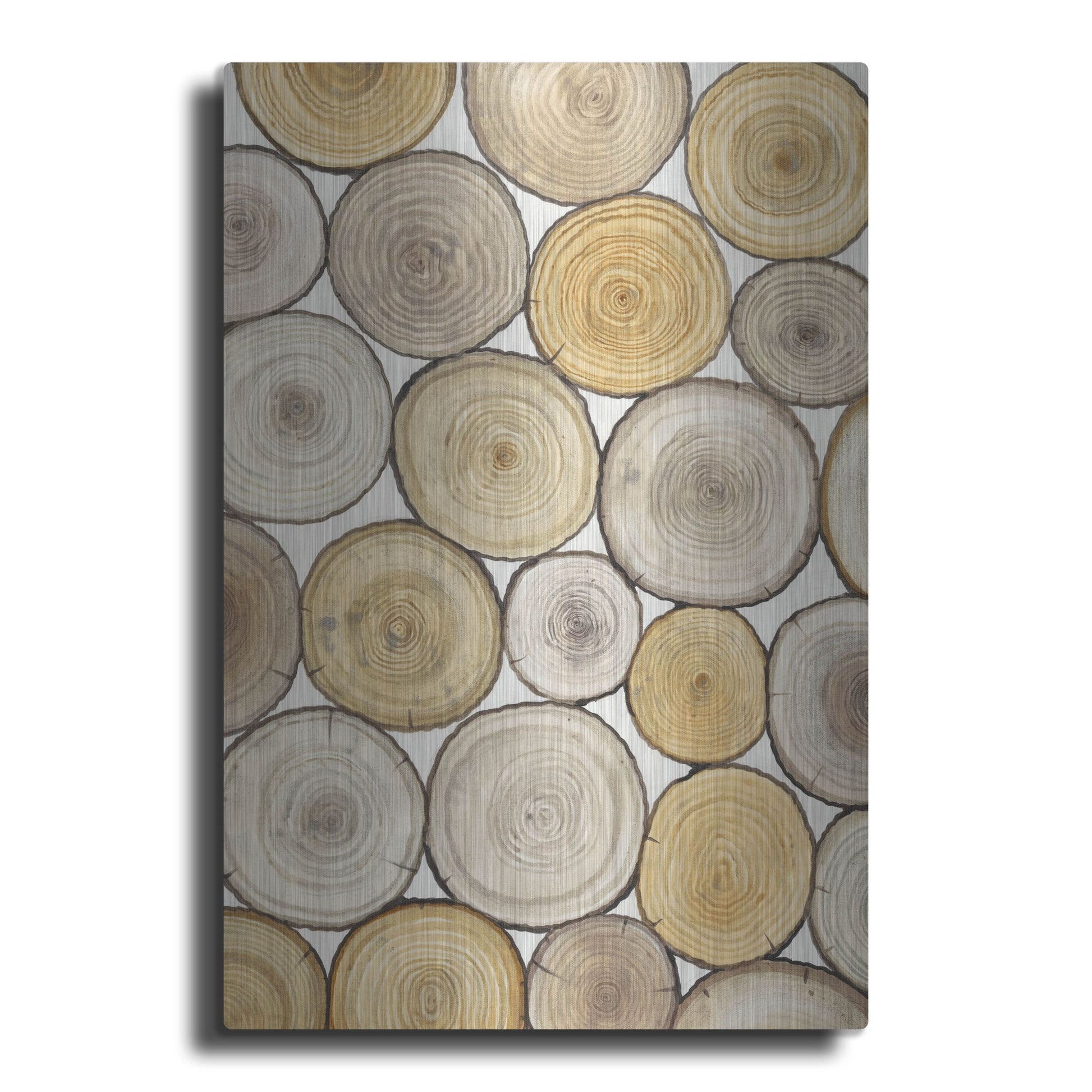 Luxe Metal Art 'Tree Ring Study II' by Tim O'Toole, Metal Wall Art