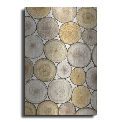 Luxe Metal Art 'Tree Ring Study II' by Tim O'Toole, Metal Wall Art