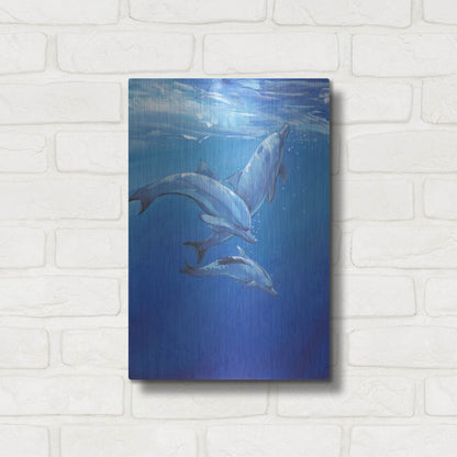 Luxe Metal Art 'Under Sea Dolphins' by Tim O'Toole, Metal Wall Art,12x16