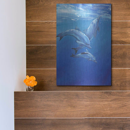 Luxe Metal Art 'Under Sea Dolphins' by Tim O'Toole, Metal Wall Art,12x16