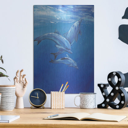 Luxe Metal Art 'Under Sea Dolphins' by Tim O'Toole, Metal Wall Art,12x16