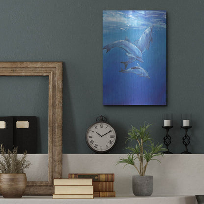 Luxe Metal Art 'Under Sea Dolphins' by Tim O'Toole, Metal Wall Art,12x16