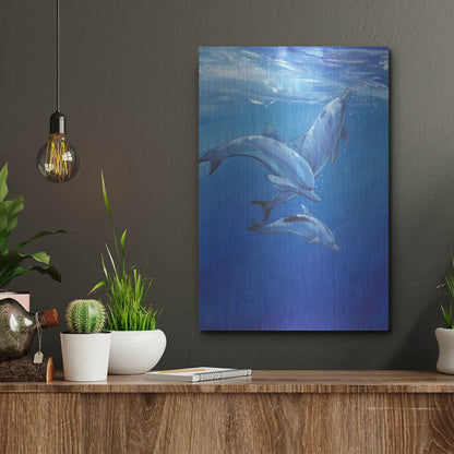 Luxe Metal Art 'Under Sea Dolphins' by Tim O'Toole, Metal Wall Art,12x16