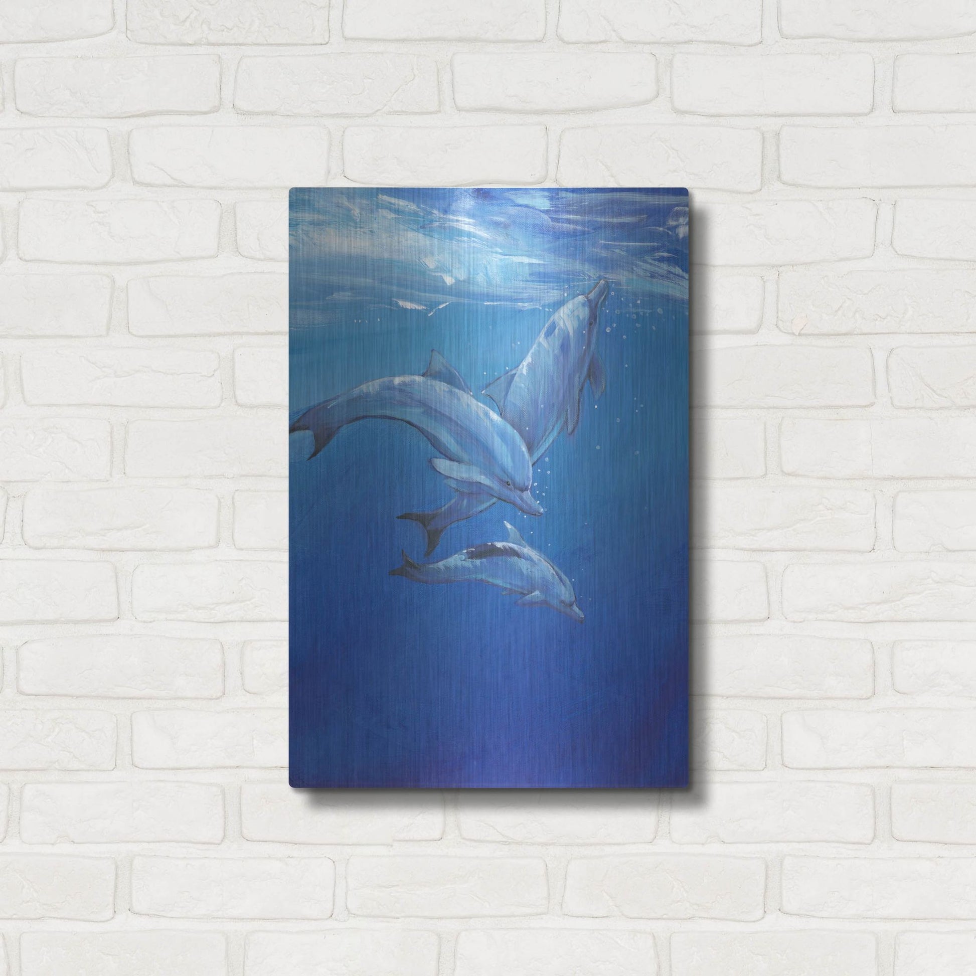 Luxe Metal Art 'Under Sea Dolphins' by Tim O'Toole, Metal Wall Art,16x24