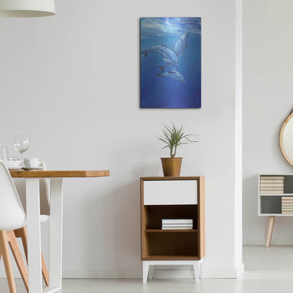 Luxe Metal Art 'Under Sea Dolphins' by Tim O'Toole, Metal Wall Art,16x24