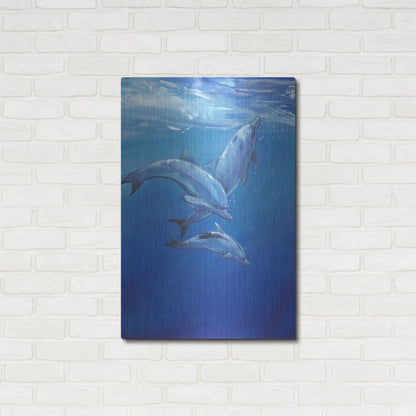 Luxe Metal Art 'Under Sea Dolphins' by Tim O'Toole, Metal Wall Art,24x36
