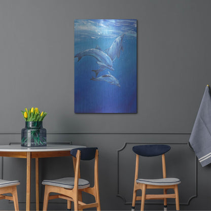 Luxe Metal Art 'Under Sea Dolphins' by Tim O'Toole, Metal Wall Art,24x36