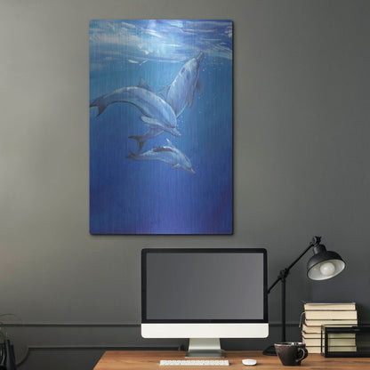 Luxe Metal Art 'Under Sea Dolphins' by Tim O'Toole, Metal Wall Art,24x36