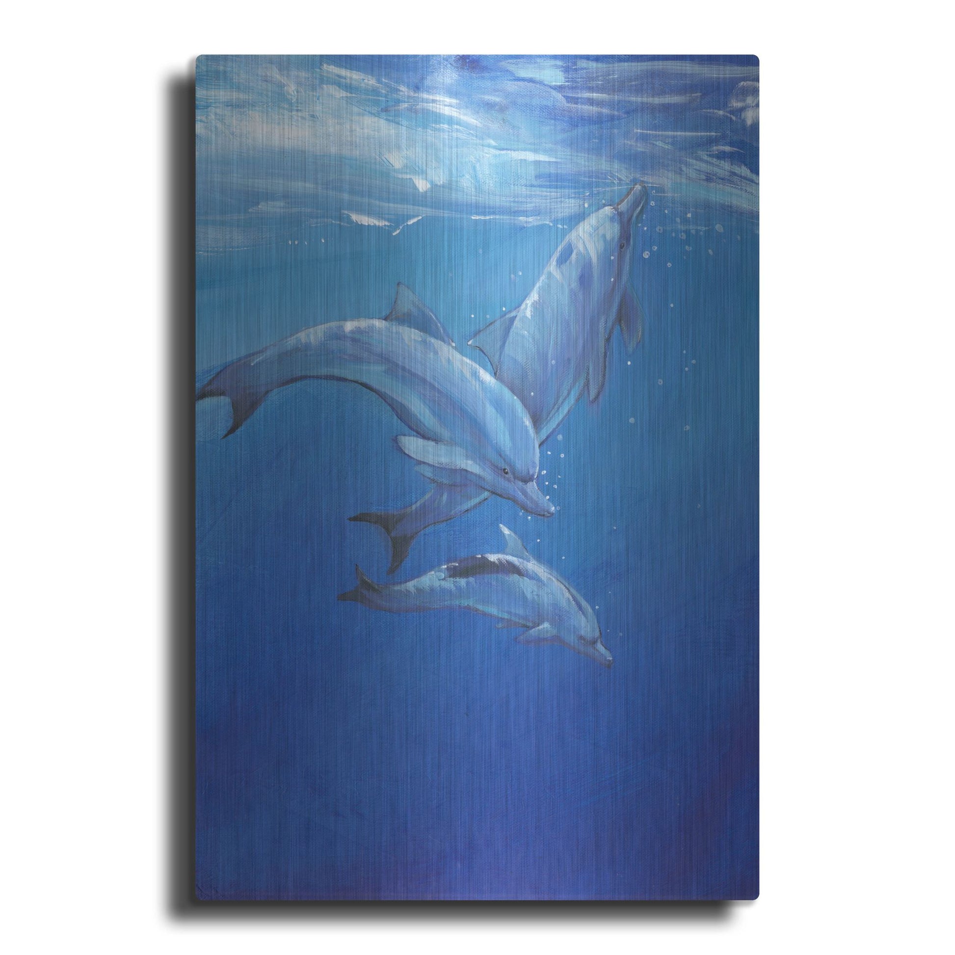 Luxe Metal Art 'Under Sea Dolphins' by Tim O'Toole, Metal Wall Art