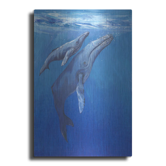Luxe Metal Art 'Under Sea Whales I' by Tim O'Toole, Metal Wall Art