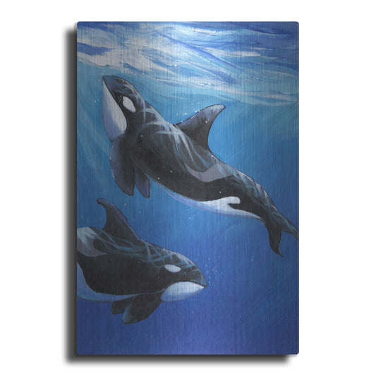 Luxe Metal Art 'Under Sea Whales II' by Tim O'Toole, Metal Wall Art