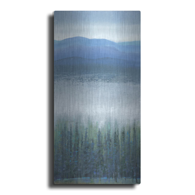 'Valley Fog I' by Tim O'Toole – Metal Wall Art