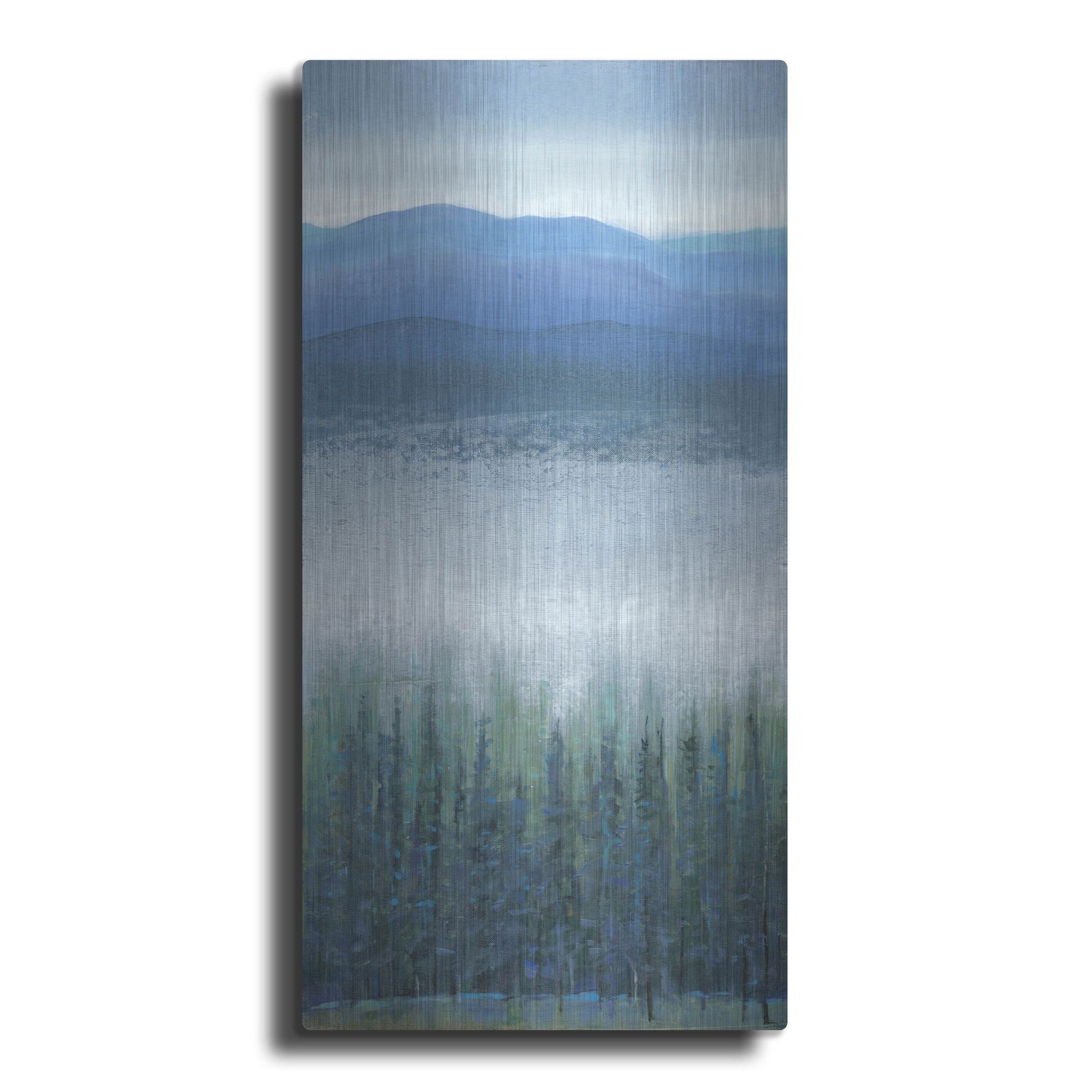 Luxe Metal Art 'Valley Fog I' by Tim O'Toole, Metal Wall Art