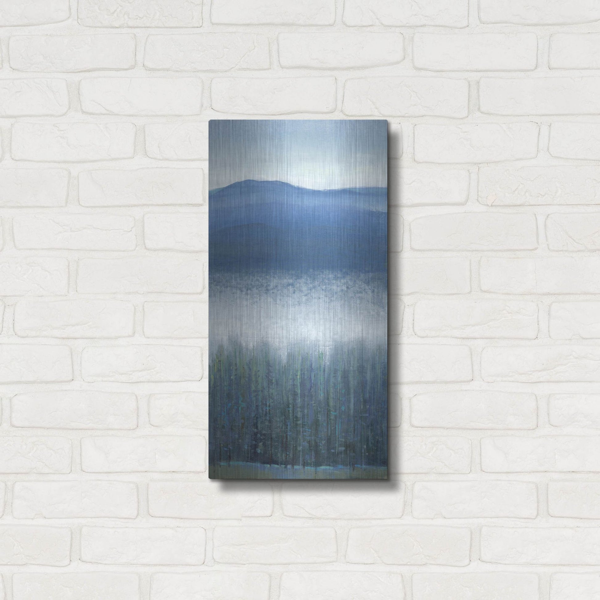 Luxe Metal Art 'Valley Fog II' by Tim O'Toole, Metal Wall Art,12x24