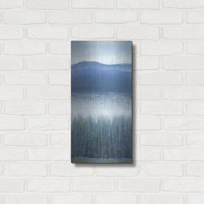 Luxe Metal Art 'Valley Fog II' by Tim O'Toole, Metal Wall Art,12x24
