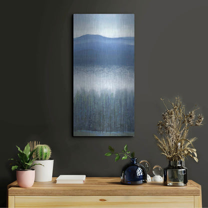 Luxe Metal Art 'Valley Fog II' by Tim O'Toole, Metal Wall Art,12x24