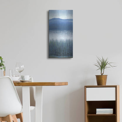 Luxe Metal Art 'Valley Fog II' by Tim O'Toole, Metal Wall Art,12x24