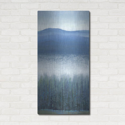 Luxe Metal Art 'Valley Fog II' by Tim O'Toole, Metal Wall Art,24x48