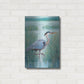 Luxe Metal Art 'Wetland Heron I' by Tim O'Toole, Metal Wall Art,16x24