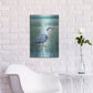 Luxe Metal Art 'Wetland Heron I' by Tim O'Toole, Metal Wall Art,16x24