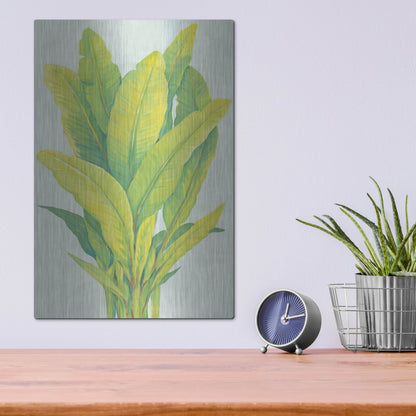 Luxe Metal Art 'Chartreuse Tropical Foliage I' by Tim O'Toole, Metal Wall Art,12x16