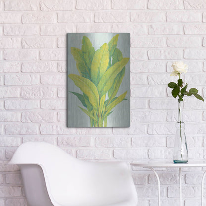 Luxe Metal Art 'Chartreuse Tropical Foliage I' by Tim O'Toole, Metal Wall Art,16x24