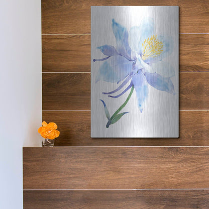 Luxe Metal Art 'Columbine Bloom I' by Tim O'Toole, Metal Wall Art,12x16