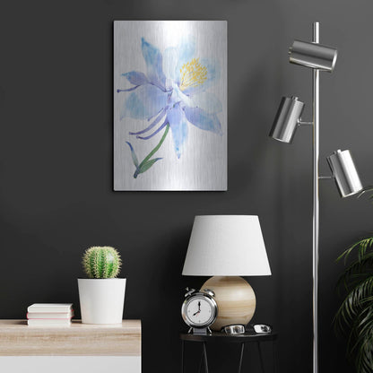 Luxe Metal Art 'Columbine Bloom I' by Tim O'Toole, Metal Wall Art,16x24