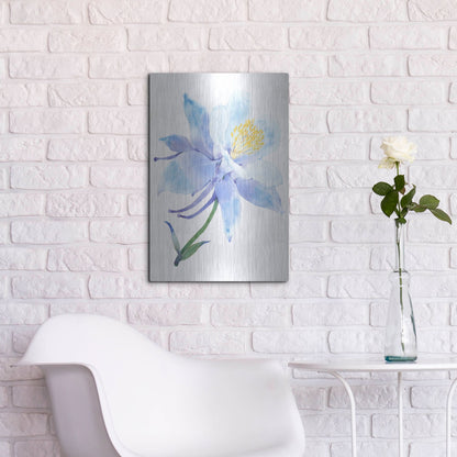 Luxe Metal Art 'Columbine Bloom I' by Tim O'Toole, Metal Wall Art,16x24