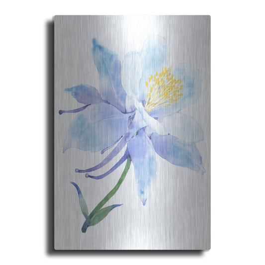 Luxe Metal Art 'Columbine Bloom I' by Tim O'Toole, Metal Wall Art