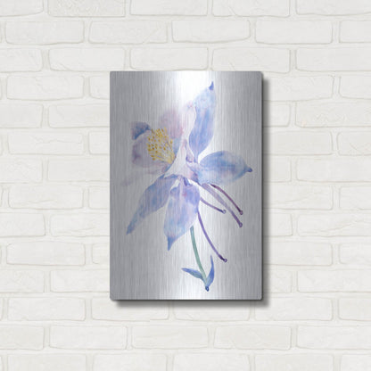 Luxe Metal Art 'Columbine Bloom II' by Tim O'Toole, Metal Wall Art,16x24