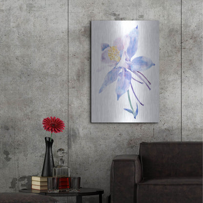 Luxe Metal Art 'Columbine Bloom II' by Tim O'Toole, Metal Wall Art,24x36